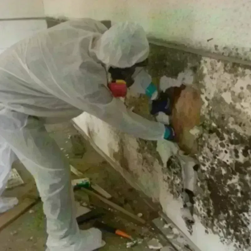 Mold Remediation and Removal in Mason, OH