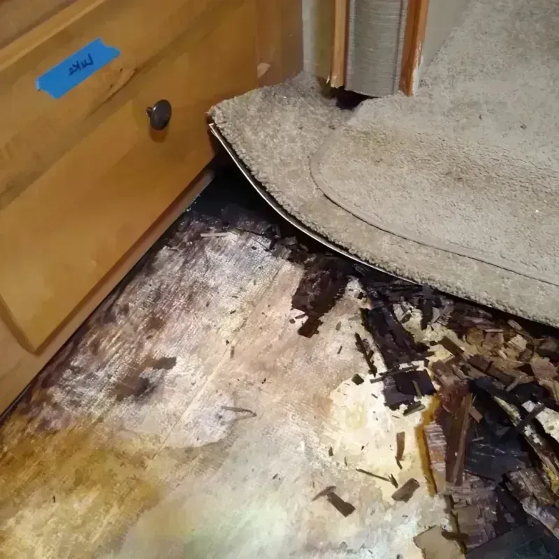 Wood Floor Water Damage in Mason, OH